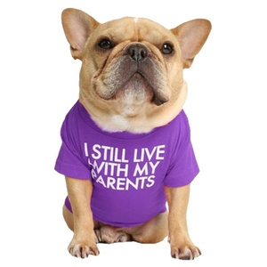 Maglione Traspirante e Morbido per Cani, Taglie S M L XL 2XL, per Bulldog Francese e Pug - Product Image 2