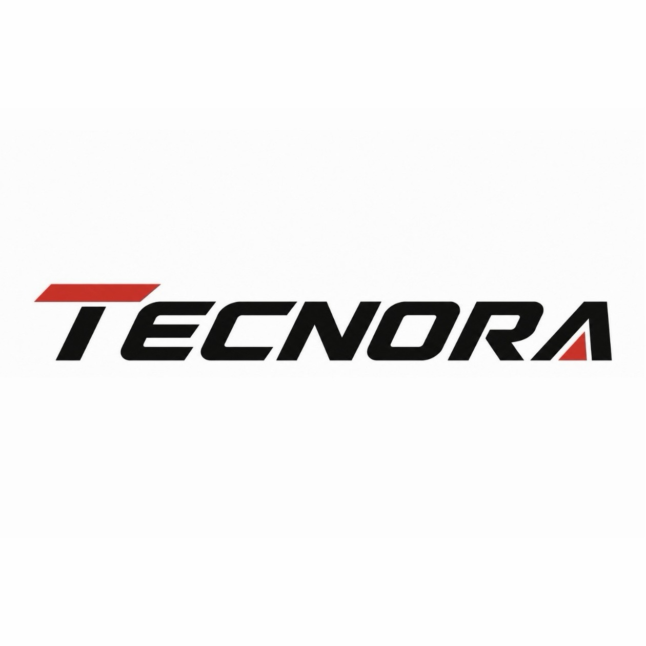 Jiangsu TECNORA Intelligent Technology Co., Ltd. logo