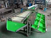 Commerciële fruit- en groentewas- en sorteerlijn, olijf- en kersentomaten sorteerlijn, passievrucht sorteermachine