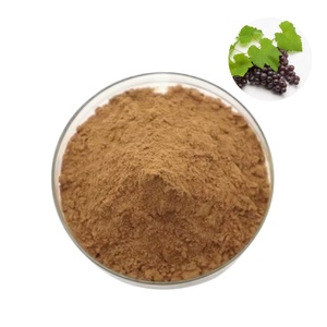 ผงสารสกัดจากใบองุ่น Vitis Vinifera ธรรมชาติบริสุทธิ์ - Product Image 1