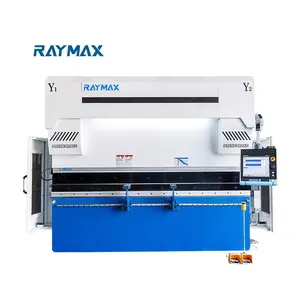 Raymax Beste Cnc Roestvrijstalen Machine Kleine Prijsplaat Pers Break Hydraulische Metalen Plaat Persrem