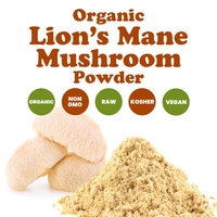 Extrait naturel d'Hericium Erinaceus, poudre de champignon crinière de lion biologique de qualité alimentaire, 10%-50% de polysaccharides, emballage en fût
