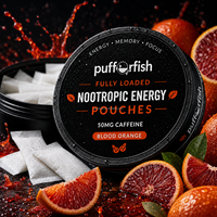 Usine OEM Personnalisée en Stock Zxn Velo Energy Snus Cans Fox Sachets de Snus aux Saveurs Variées Plastique & Métal