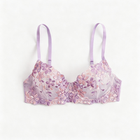 Ensemble de soutien-gorge en dentelle Sexy pour femmes mode transparente grande taille luxueux Push-Up Lingerie Sexy soutien-gorge en dentelle et ensemble de slips