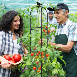 Treillis de jardin pour plantes grimpantes, treillis rond de 6 pieds pour rosiers en pot - Product Image 1