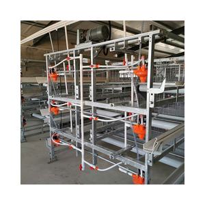<span class=keywords><strong>Cage</strong></span> de piles à poulet multicouches de haute qualité, cadre type H, populaire, pour piles - Product Image 3