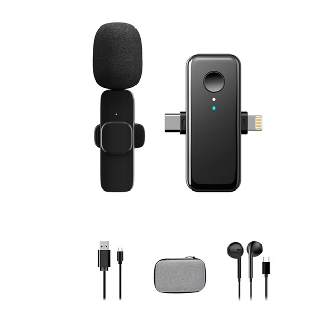 Wireless Lavalier Microphone LED Built-in Sound Card DSP Reverb HD Noise Reduction Pickup for Speaker/DSLR/PC