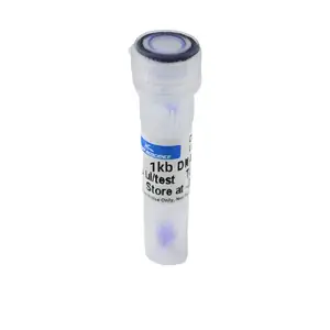 Tinzyme 1kb DNA Ladder Marker Easy-to-Use and Provides Clear Electrophoresis Images Directly Visible to the Naked Eye