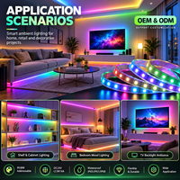 Produsen Strip LED RGBW Addressable LC8816A OEM ODM dengan Panjang Kustom