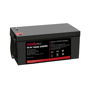 Ronda công suất lớn 12V 24V 36V 48V 60Ah 100Ah 200AH 300ah CE phê duyệt 100% <span class=keywords><strong>Lithium</strong></span> Ion Marine LiFePO4 Pin BMS <span class=keywords><strong>Bluetooth</strong></span> - Product Image 1