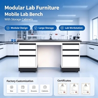 Banc de laboratoire mobile modulaire industriel avec tiroirs, armoires de rangement, poste de travail résistant aux acides pour laboratoire chimique