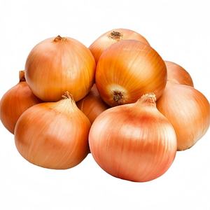 Cebollas Amarillas Frescas Directas de Fábrica de Shandong, Calidad Premium, Nueva Cosecha, Tamaños de 3-5 cm, Bolsa de Malla de 10 kg/20 kg, Exportación a Granel - Product Image 6