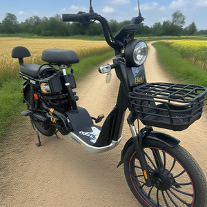 Gran Descuento 2025 Bicicleta Eléctrica Retro Vintage de 48v con Neumáticos de Montaña para Adultos - Product Image 3