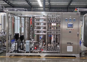 Hệ thống nước cấp USP/Ep RO + EDI + Máy chưng cất nhà máy thế hệ wfi - Product Image 2