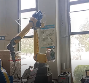 Manipulador industrial <span class=keywords><strong>Mini</strong></span> <span class=keywords><strong>Robot</strong></span> Brazo de mano 6 ejes AC Servo Drive Brazo de <span class=keywords><strong>robot</strong></span> de soldadura con precisión de 0,05mm y potencia de 1kW - Product Image 6