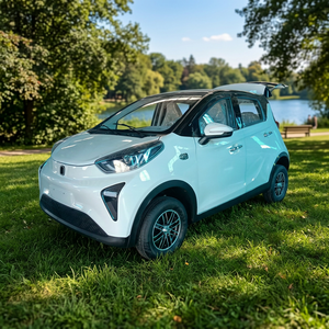 Auto Elettrica Mini EV per Adulti a Bassa Velocità, Piccola Vettura Elettrica Cinese a 4 Posti per Famiglia e Lavoro - Product Image 5