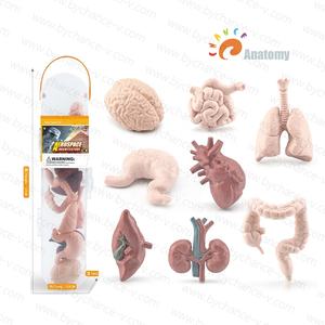 El mejor regalo preescolar para niños pequeños, juguete de geografía Montessori, puntos de referencia mundiales, prototipos en miniatura, modelos para regalo de recuerdo turístico - Product Image 5