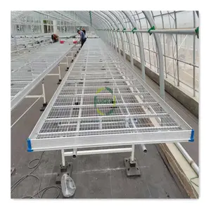 Wholesale greenhouse Rolling benches Seeding Nursery Bed for movable seedling nursery bed