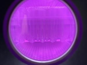 Machine de nettoyage au plasma d'oxygène Nettoyeur au plasma pour laboratoire - Product Image 4