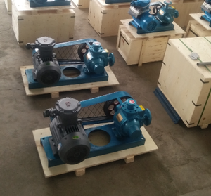 YQB Series 220V <b>Small</b> LPG <b>Pump</b> Car Use LPG <b>Pump</b> - Product Image 3