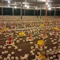 RS-88 mangeoires et abreuvoirs pour poussins seau en plastique pour élevage de volailles seau mangeoire pour poulets