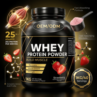 Poudre instantanée OEM pour le soutien musculaire et la récupération post-entraînement 1KG Protéine de lactosérum à la fraise Végétarien Sans produits laitiers pour hommes et femmes adultes