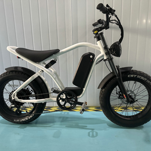 Vélo de montagne à suspension intégrale CE, pneus larges de 20 pouces, vélo électrique de Chine OEM, Fat Boy Mountain Bike 48v750w Fat Bo - Product Image 1
