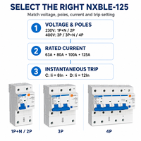Disjoncteur différentiel CHINT NXBLE-125 63A 80A 100A 125A courbe C D pour panneaux de commande industriels