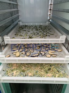 Best Selling Food Fruits Dehydrator Vegetable Dryer Industrial Herb Drying Machine Meat Pasta Banana Dryer - Product Image 6