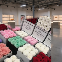 Roses Éternelles Coffret Cadeau Fleur Stabilisée pour la Fête des Mères, Roses Durables pour Mariage & Décoration Intérieure
