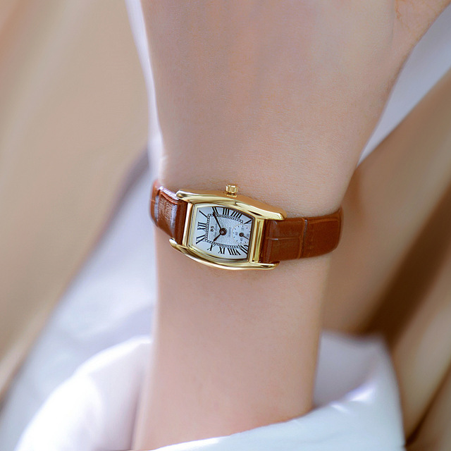 BS-FA1737 Light Luxury Leather and Metal Belt Vintage Casual Style New Women's Quartz Watch