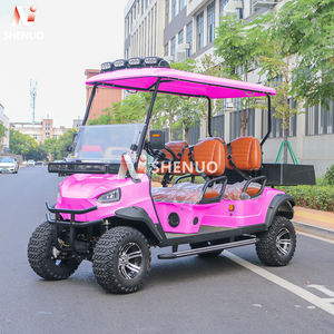 Nieuwe Club Auto 4-Wheel Elektrische Golf <span class=keywords><strong>Buggy</strong></span> Met 48V Lithium Batterij Eec/Dot/Gcc Gecertificeerd Voor De Jacht - Product Image 3