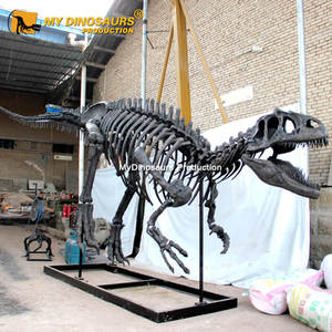 Mi <span class=keywords><strong>DINO</strong></span> DS114 resina Color personalizado esqueleto de dinosaurio para Decoración - Product Image 6