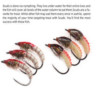 Vente en gros réaliste Caddis <span class=keywords><strong>tchèque</strong></span> <span class=keywords><strong>nymphe</strong></span> Scud <span class=keywords><strong>mouche</strong></span> insecte ver crevette pêche à la <span class=keywords><strong>mouche</strong></span> mouches truite bar perche pêche leurre appâts #12 - Product Image 6
