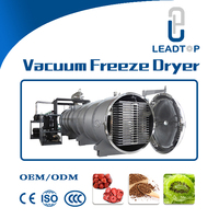 Industriële vacuümvriesdroogmachine, automatische fruit- en groentevriesdroger voor voedselconservering