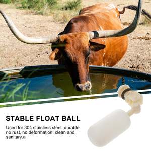 Vanne flottante automatique pour abreuvoir à bétail, type boule en plastique 25x40mm, commande manuelle - Product Image 1