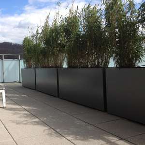 Maceta grande para árboles amarillos, maceta para exteriores de alta calidad para uso doméstico y en el jardín - Product Image 2