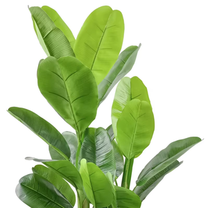 Oh Arts Nouveauté : Bananiers artificiels en pot de 160 cm pour l'<span class=keywords><strong>intérieur</strong></span> et l'extérieur, plantes artificielles, bananiers à grandes feuilles pour la <span class=keywords><strong>d</strong></span>écoration de la maison - Product Image 3