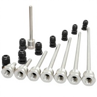 Boîtier de sonde de température pour chauffe-eau solaire, capot de protection de réservoir, tuyau étanche en acier inoxydable avec capuchon, filetage 4 points