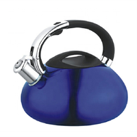 Bouilloire sifflante en acier inoxydable de 2,7 litres avec base à induction et poignée ergonomique pour une ébullition rapide du thé