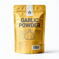 Sachets refermables en mylar personnalisés, 100 g, 250 g, 500 g, résistants à l'humidité et aux odeurs, pour poudre d'ail épicée