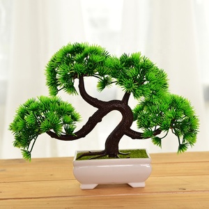 E-3049 Descuento por tiempo limitado Planta bonsái en maceta de plástico Bonsái de pino para decoración del hogar - Product Image 1