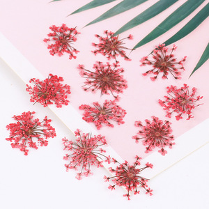 Mixed Natural <b>Dried</b> Flower Nail Stickers Summer <b>Petal</b> Nail Art Decals Colorful Real Flower Decorations for Nail Salon - Product Image 6