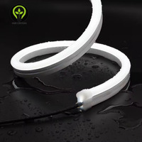 1225 bande néon d'éclairage latéral en Silicone numérique connectivité USB Source de lumière LED corps en cuivre RGB/RGBW UCS512 IC DMX512 DC24V