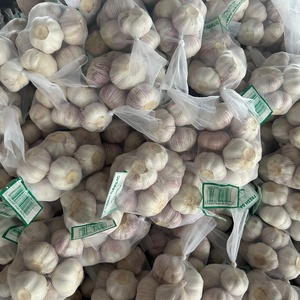 2025 Proveedor de ajo Sinofarm <span class=keywords><strong>Food</strong></span> 50-60mm Ajo rojo/blanco 10kg 20kg Embalaje Ajo pelado - Product Image 5