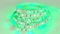 Supplier LED Strip Kustom Strip LED 5050 RGB 14.4W/M IP20 PCB 10MM