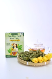 Vietnamese Origin Gymnema Sylvestre Yellow Camellia Herbal <b>Tea</b> Bags Cold-Dried Process for Wellness Support Wholesale - Product Image 4