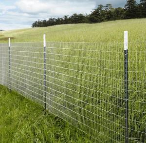 American Steel 10ft T Zaun pfosten/Nieten T-Pfosten - Product Image 5