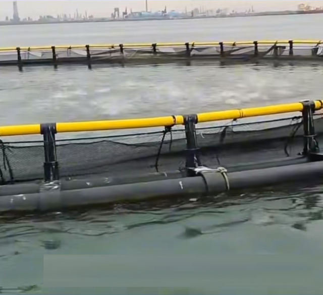 Best Quality Floating Aquaculture System Deep Water Floating Fish Cage Hdpe Fish Farming Cage