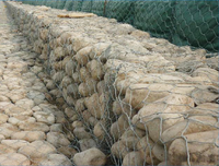Gabion hexagonal soudé galvanisé à chaud, maille de fil métallique antirouille personnalisable pour le contrôle des inondations des rives et les murs de soutènement de pentes